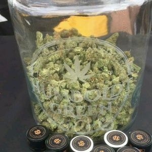 Meet your Posher, Horacio