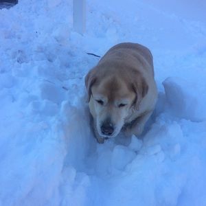 Meet your Posher, Judy