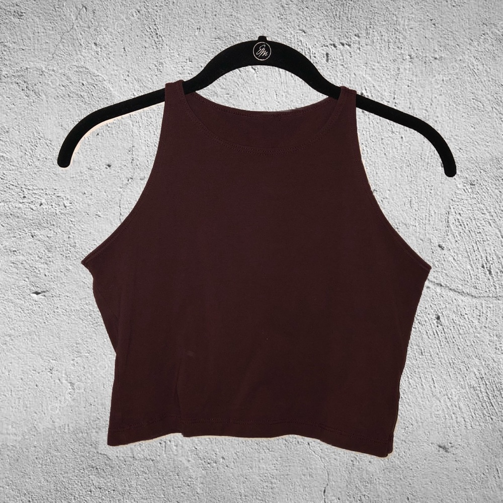 American Apparel Plum Crop Top