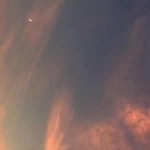 Meet your Posher, Reece