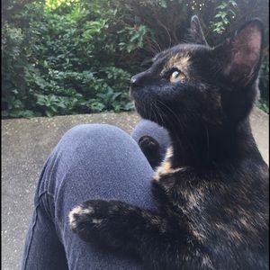 Meet your Posher, Alicia