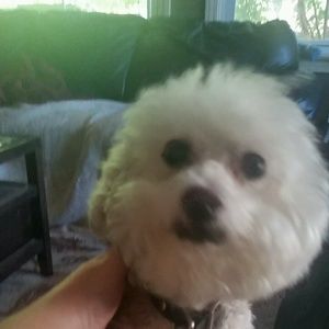 Meet your Posher, Joanne