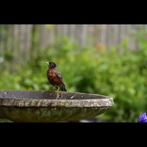 Meet your Posher, Lien