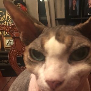 Meet your Posher, Heather