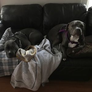 Meet your Posher, George