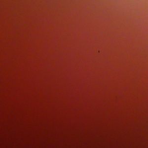 Meet your Posher, Caleb