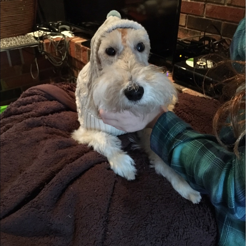 Meet your Posher, Shannon