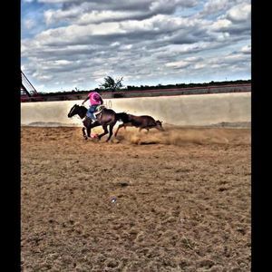 Meet your Posher, Jose