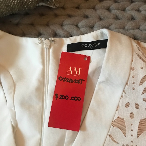 {Ark & Co} NWT Lasercut Lace Ivory Cocktail Dress - Picture 3 of 8