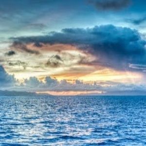 Meet your Posher, Marisol