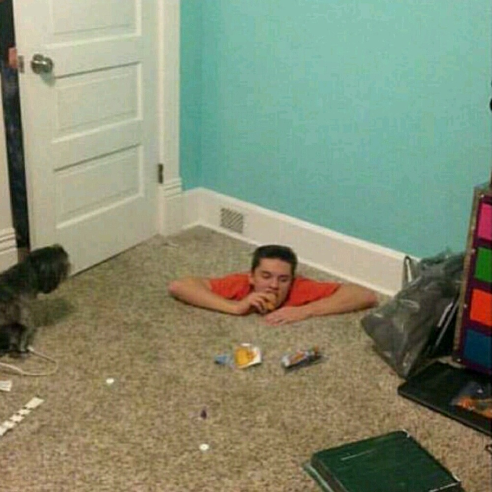 Meet your Posher, David