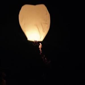 Meet your Posher, Diandrai