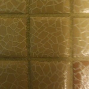 Meet your Posher, Owizzy