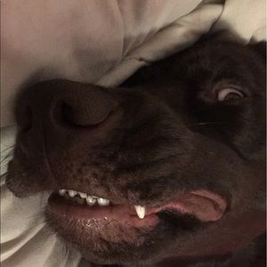 Meet your Posher, Jenny