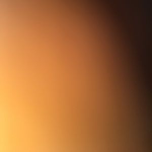 Meet your Posher, Ben