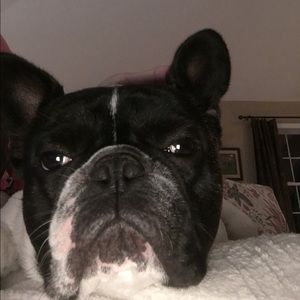 Meet your Posher, Cam