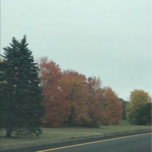 Meet your Posher, Leslie