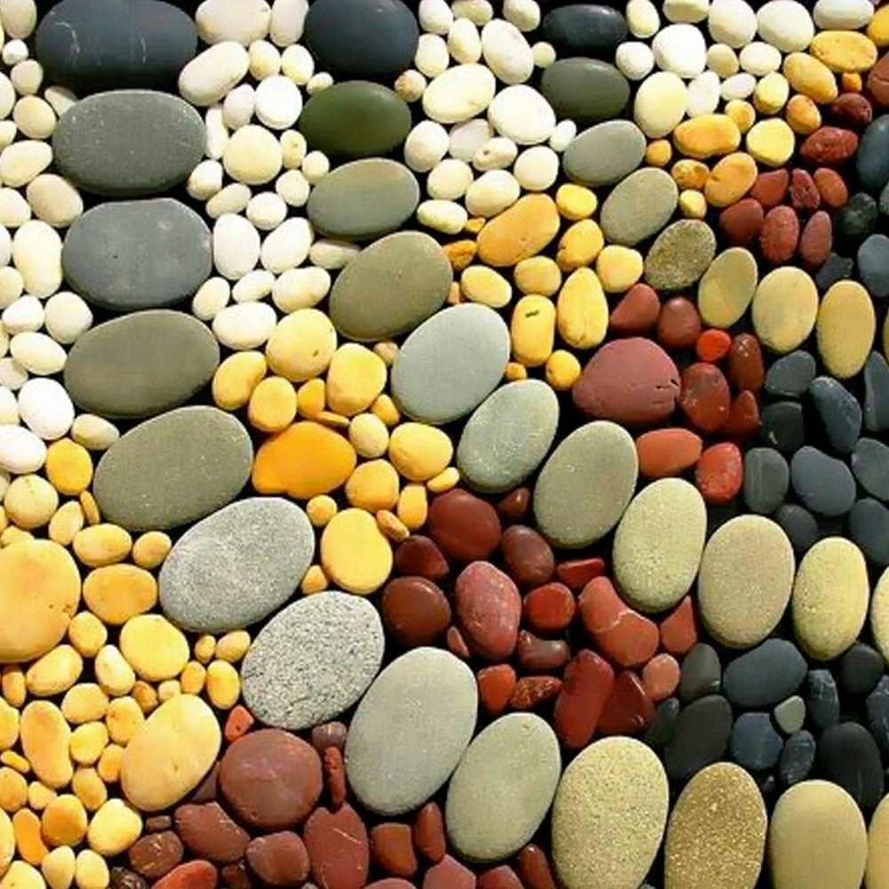 Meet your Posher, Mimi