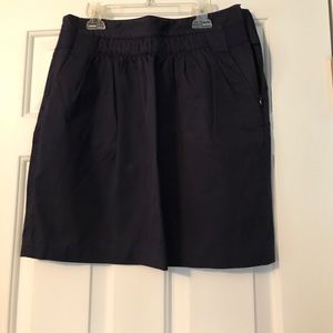 Banana Republic Navy Blue Skirt