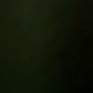 Meet your Posher, Isaac