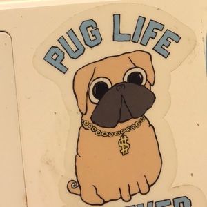 Meet your Posher, Rheanna