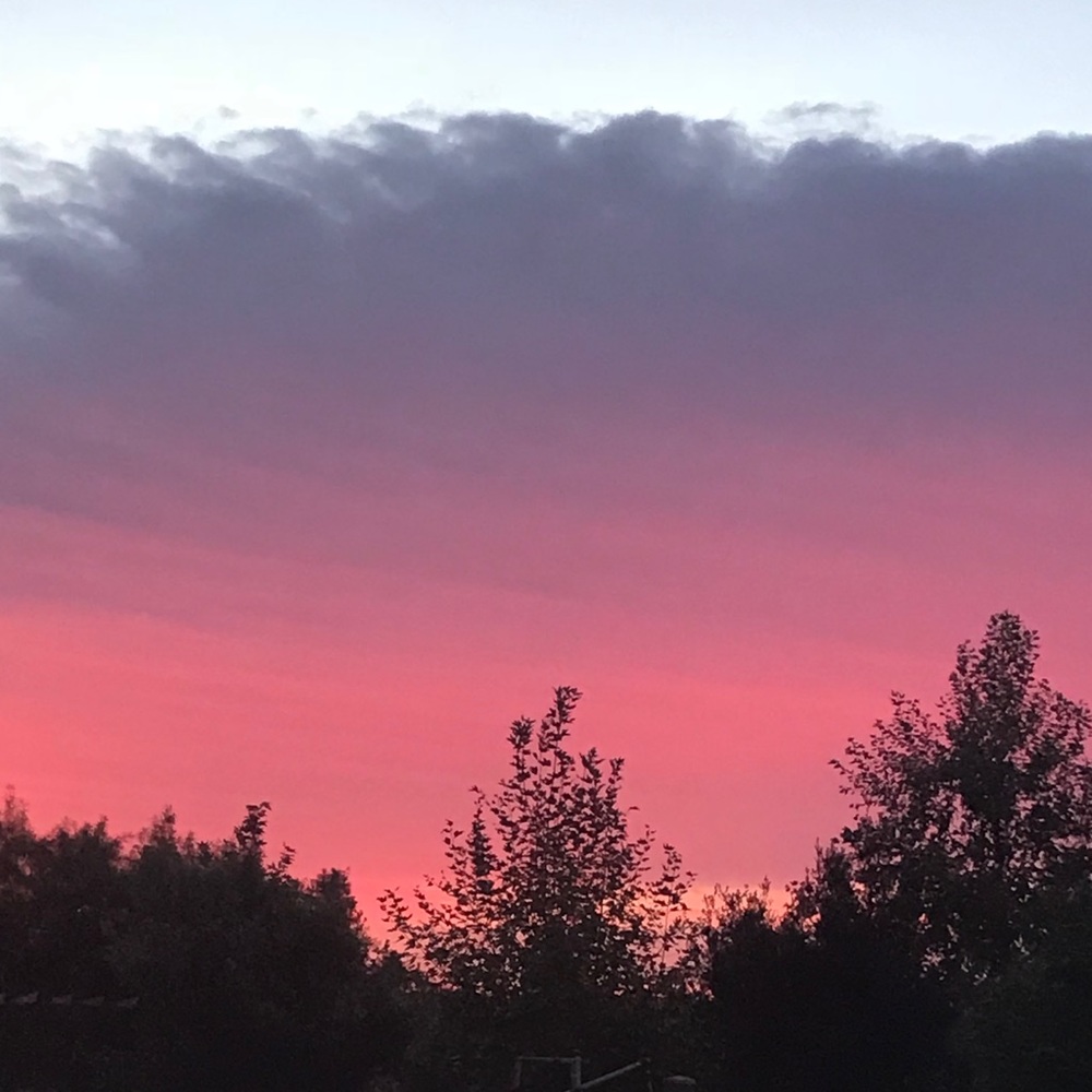 Meet your Posher, Jocelyn