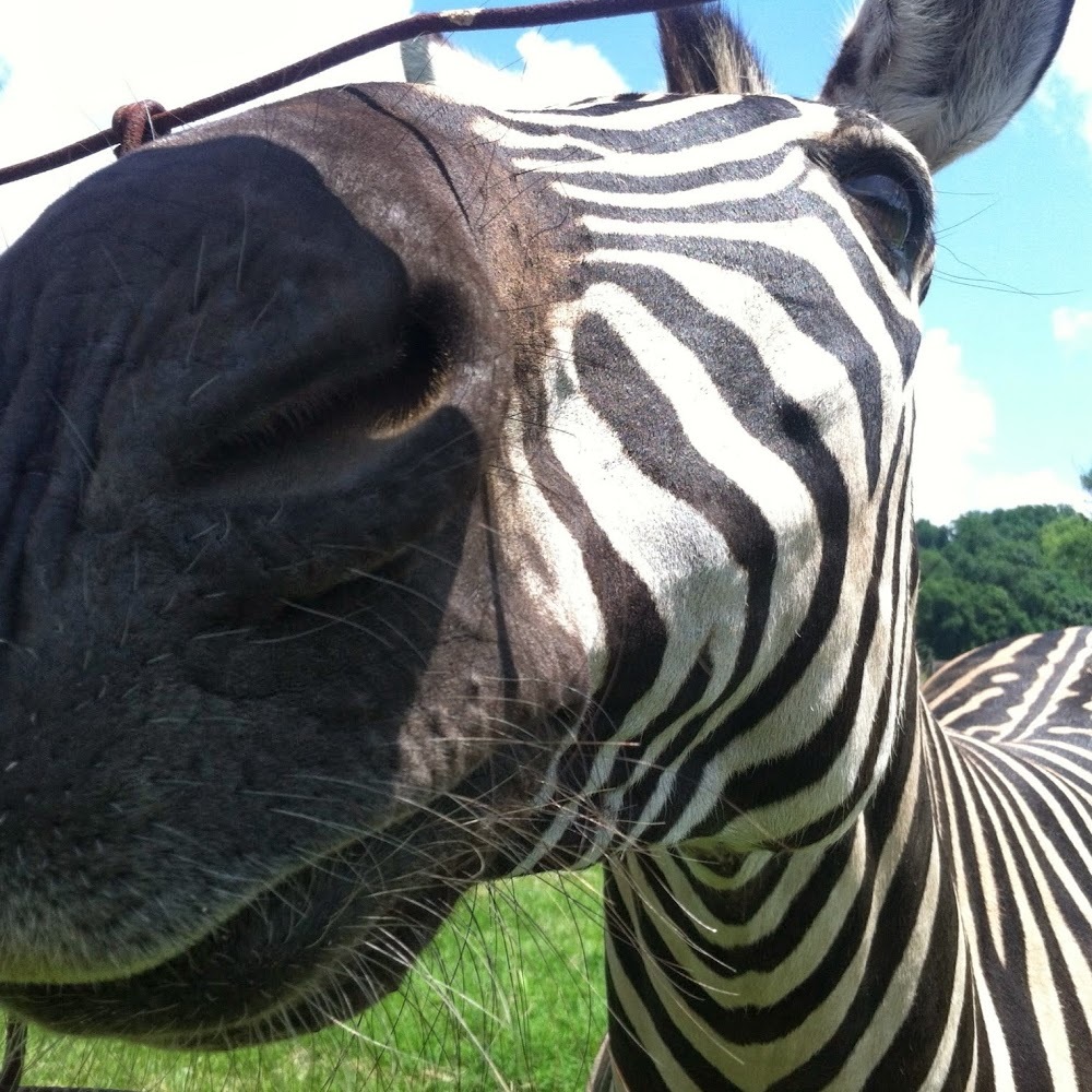 Meet your Posher, Meg