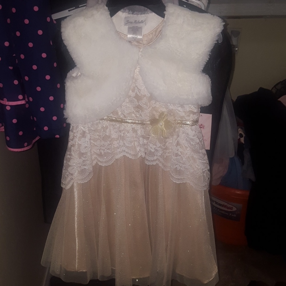 Little Girls Thanksgiving/Formal Dress