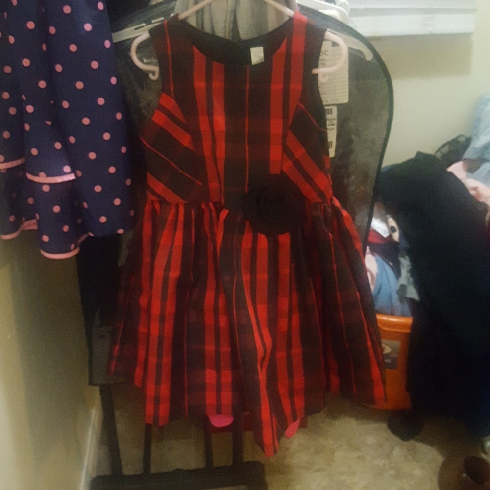 Little Girls Formal/Holiday Dress