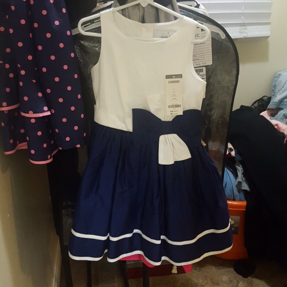 Little Girls Formal/Holiday Dress