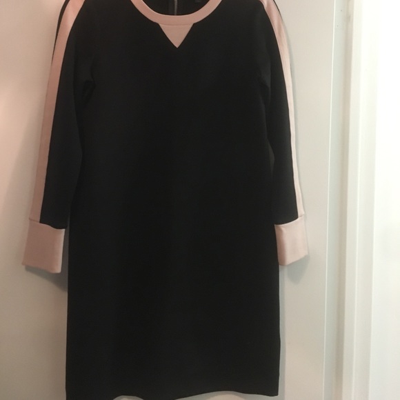 Jcrew black dress with light pink piping - Picture 1 of 2