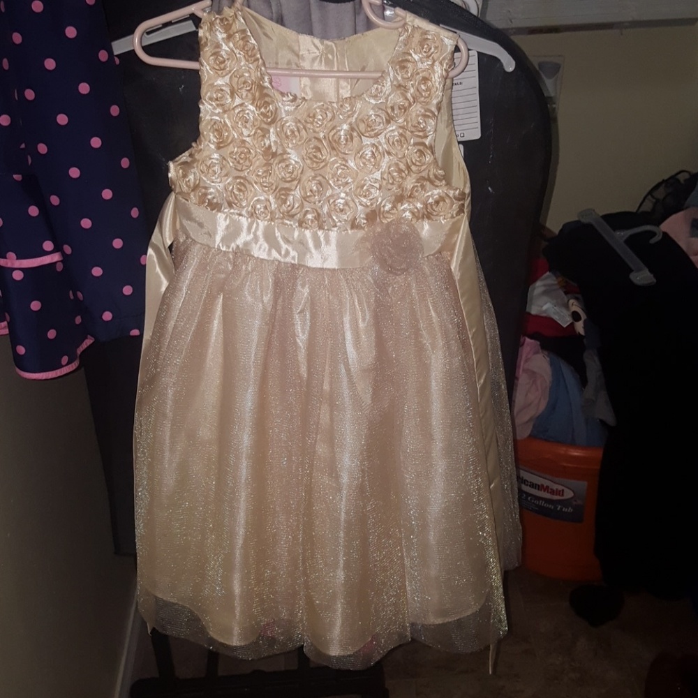 Little Girls Formal/Holiday dress