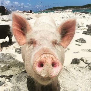 Meet your Posher, Erin