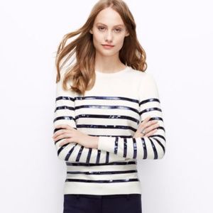 Ann Taylor Sweater