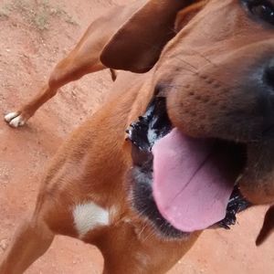 Meet your Posher, Daniel