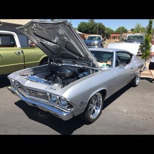 Meet your Posher, Jerry