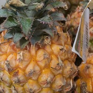 Meet your Posher, Daniela