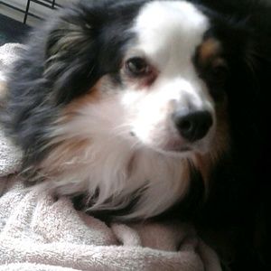 Meet your Posher, Patrick