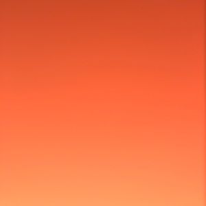 Meet your Posher, Freddy