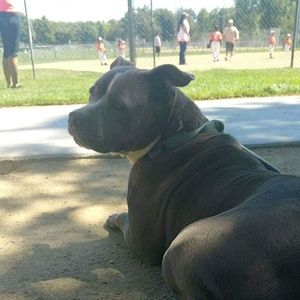 Meet your Posher, Roxanne