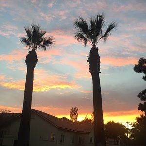 Meet your Posher, Priscilla