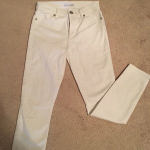 Anne Taylor Loft Jeans