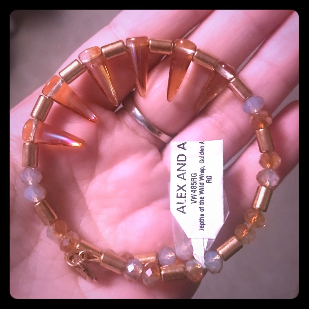 Alex and Ani spike Bangle