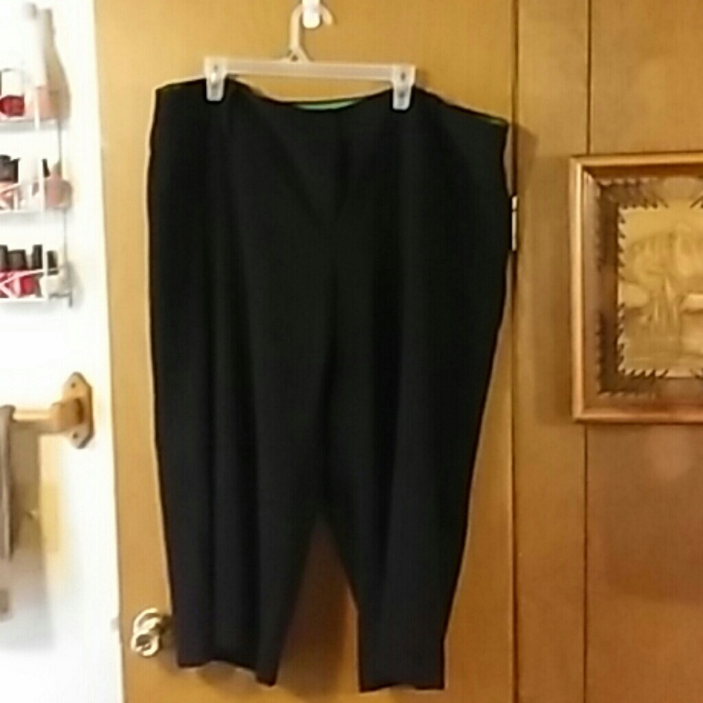 Torrid dressy capris. The