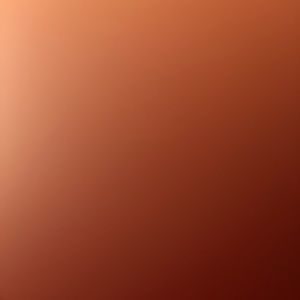 Meet your Posher, Donald