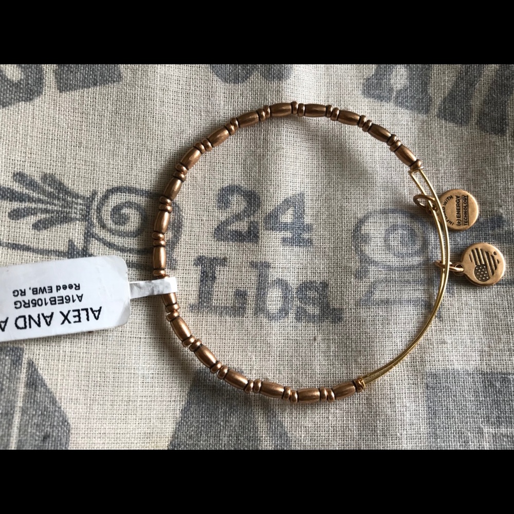 Alex & Ani Bracelet