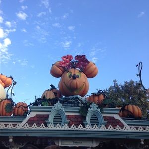 Meet your Posher, Tracie