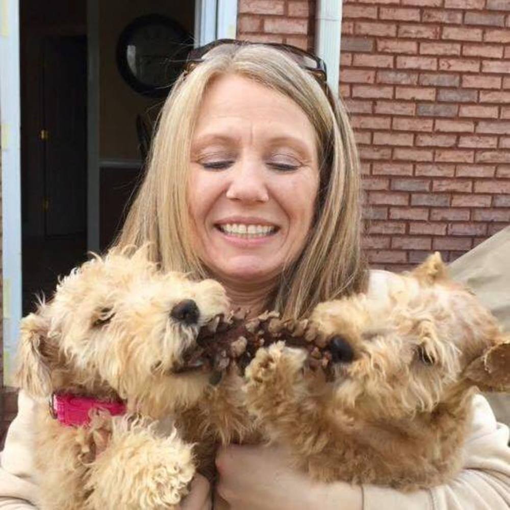 Meet your Posher, Demonica