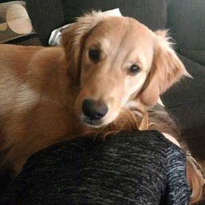 Meet your Posher, Amanda