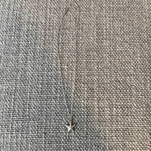 14 K white gold Starfish necklace
